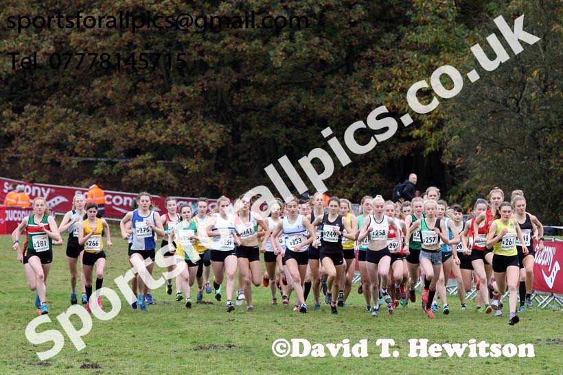 Womens junior National Cross Country Relay, Berry Hill Park, Mansfield. Photo:  David T. Hewitson/Sports for All Pics